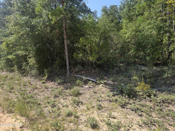 LOT 19 Dorcas Road, Marianna, FL 32448