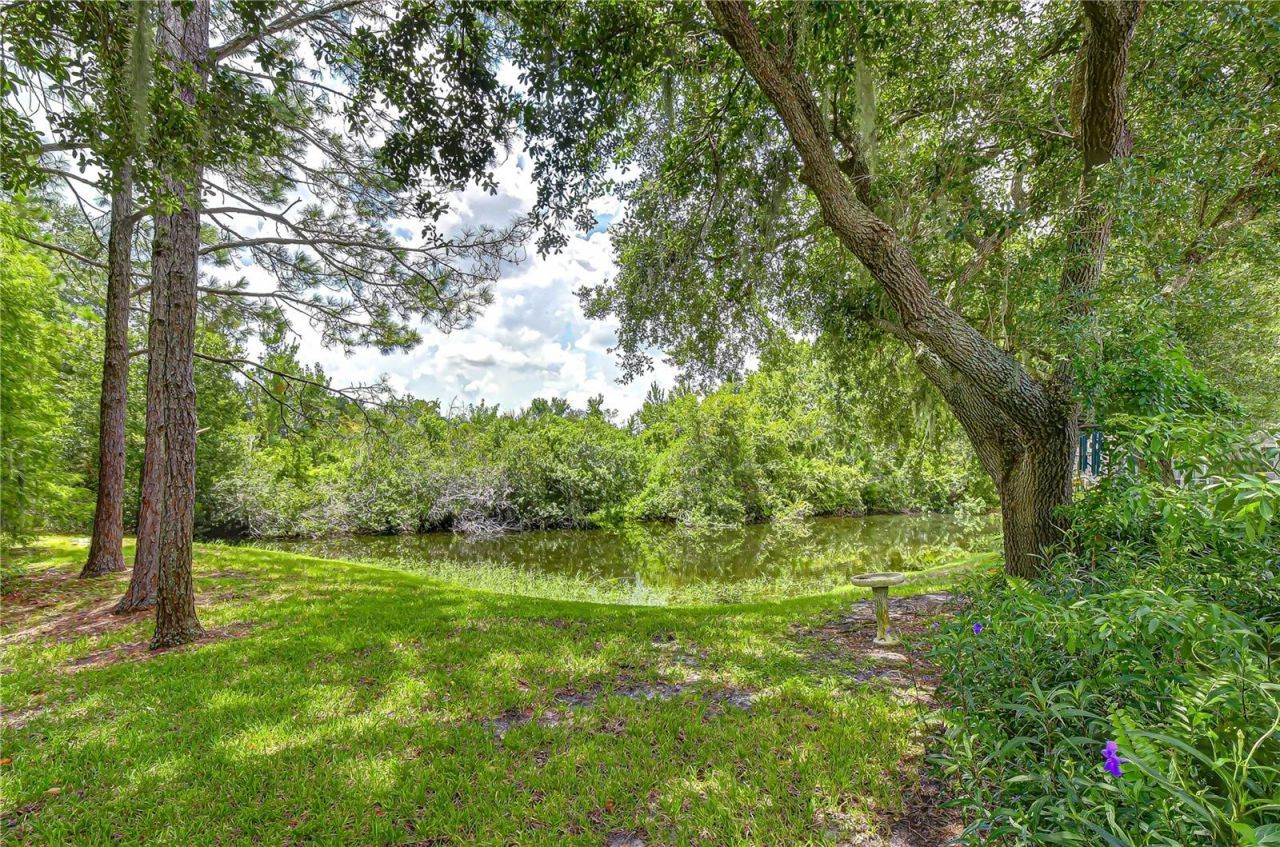6026 Sandhill Ridge Drive, Lithia, FL 33547 Photo
