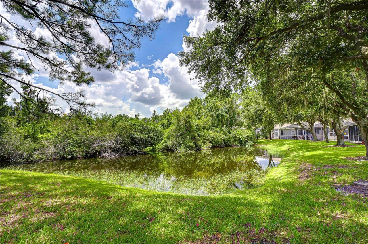 6026 Sandhill Ridge Drive, Lithia, FL 33547 Photo
