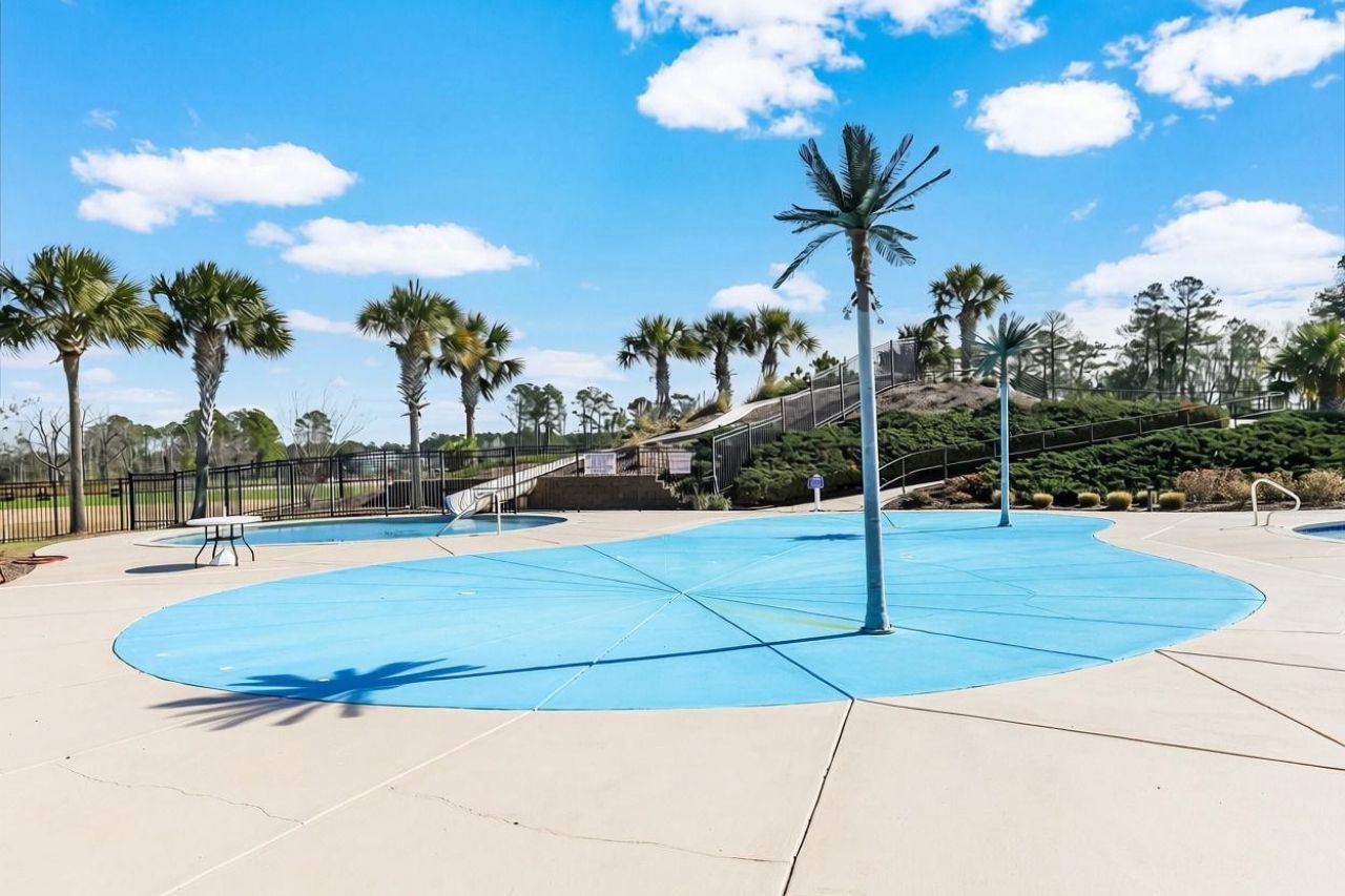 1005 Limpkin Dr. Photo 49