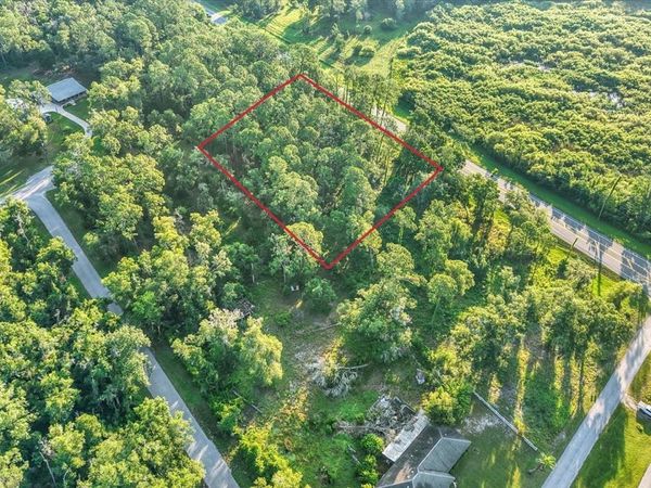 0 TREIMAN BOULEVARD , WEBSTER, FL 33597