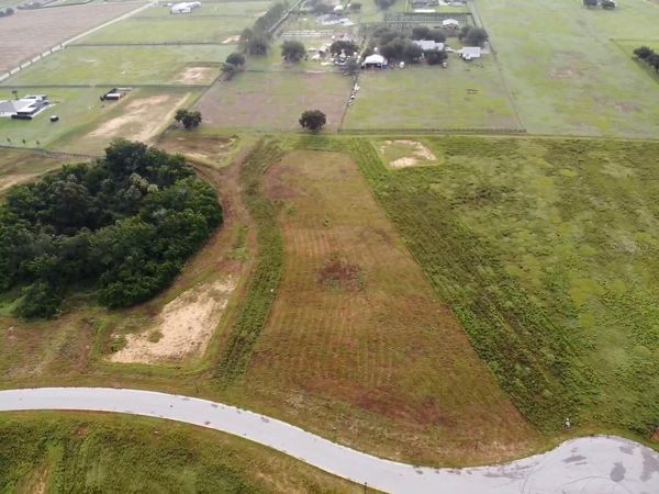 10023 WHITE EGRET DRIVE , THONOTOSASSA, FL 33592