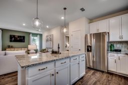 1019 Cavaletti Ct. photo 4