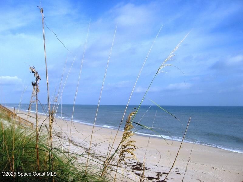 446 Blue Jay Lane, Satellite Beach, FL 32937 Photo