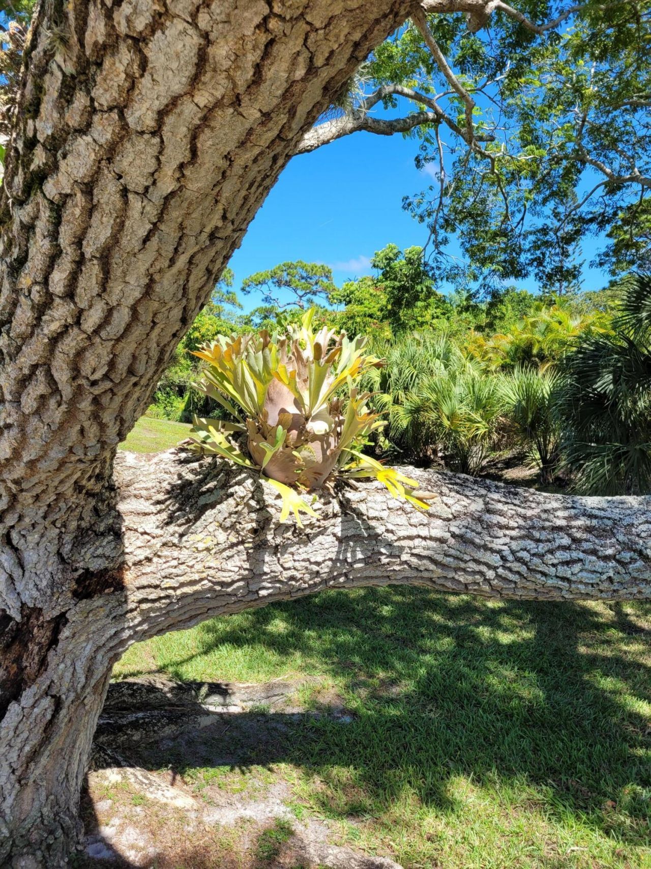 2950 SE Ocean Boulevard, Unit 134-5, Stuart, FL 34996 Photo
