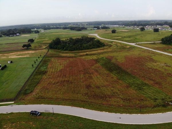 11625 SPOONBILL RUN DRIVE , THONOTOSASSA, FL 33592