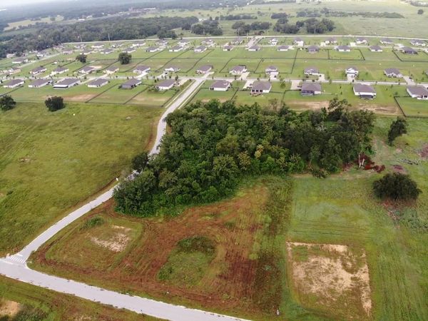 WHITE EGRET DRIVE , THONOTOSASSA, FL 33592