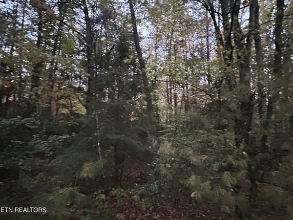 0 Wilder Rd , Unit 1, Clarkrange, TN 38553