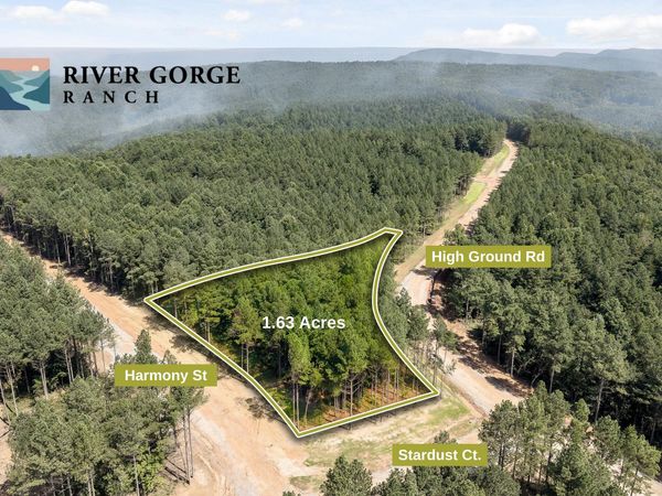 Lot 2020 Harmony Street, Guild, TN 37340