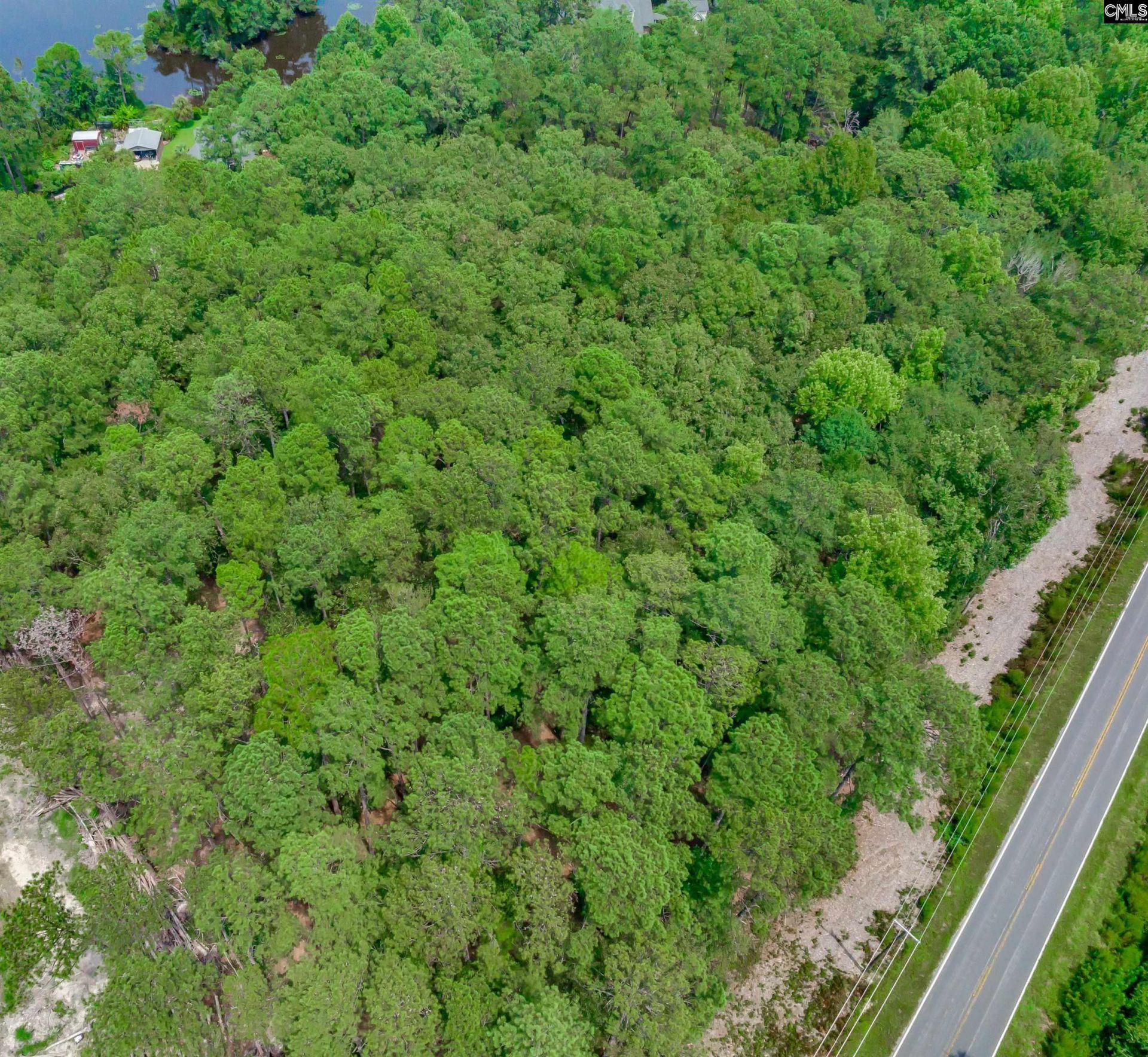 81 Woodcreek Road  Photo 7