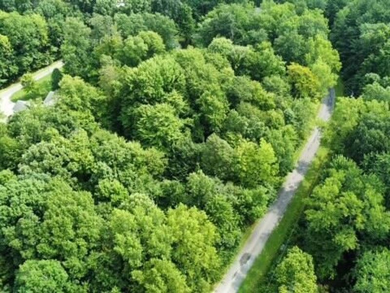 4 Arrowhead Court, Unit 4, Mount Gilead, OH 43338 Photo 3