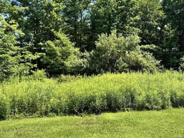 TBD Woodview Drive, Bruceton Mills, WV 26525