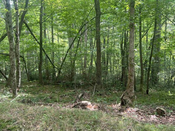 TBD Derico Road, Buckhannon, WV 26201