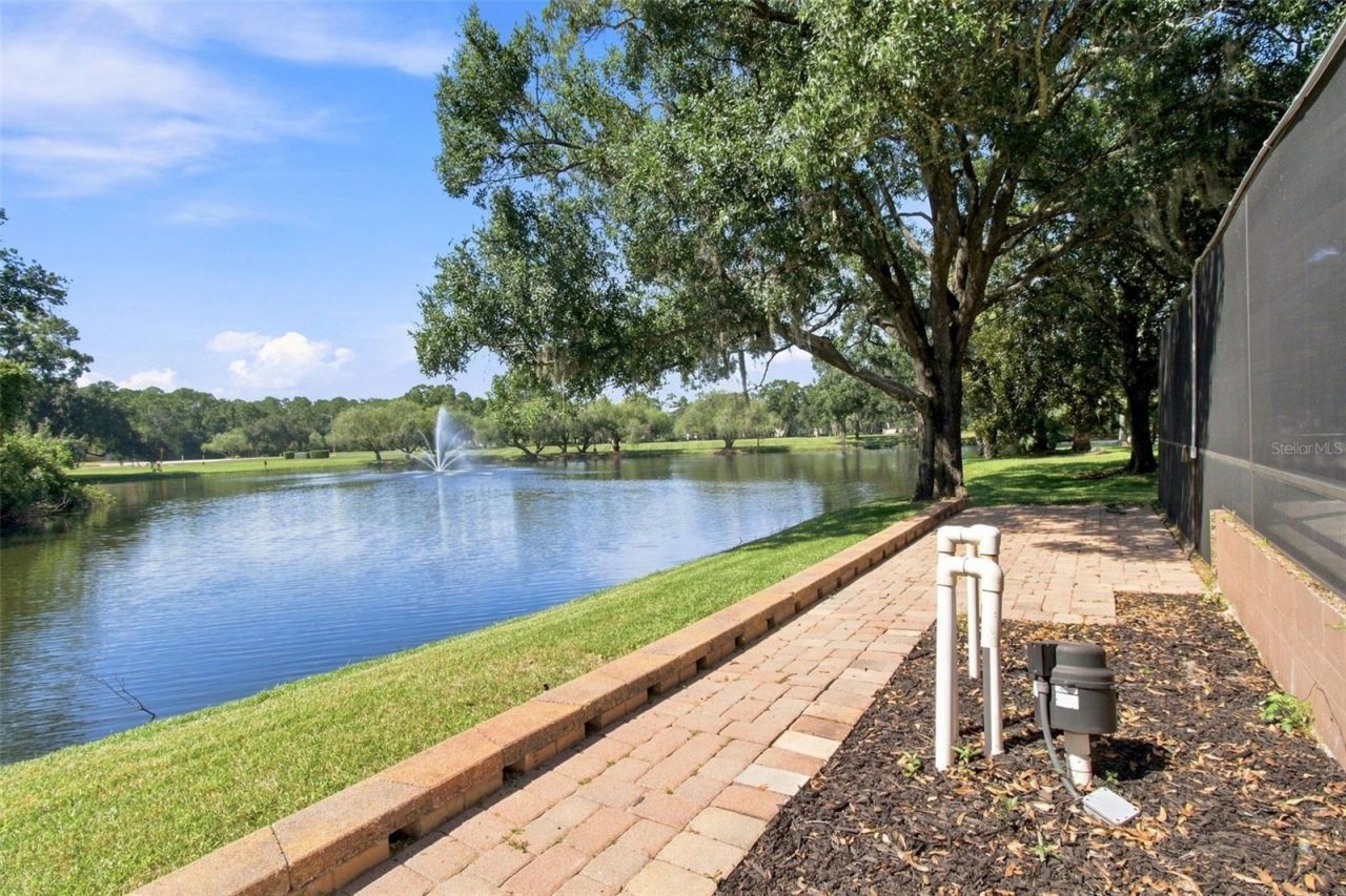 3126 Edgemoor Drive, Palm Harbor, FL 34685 Photo