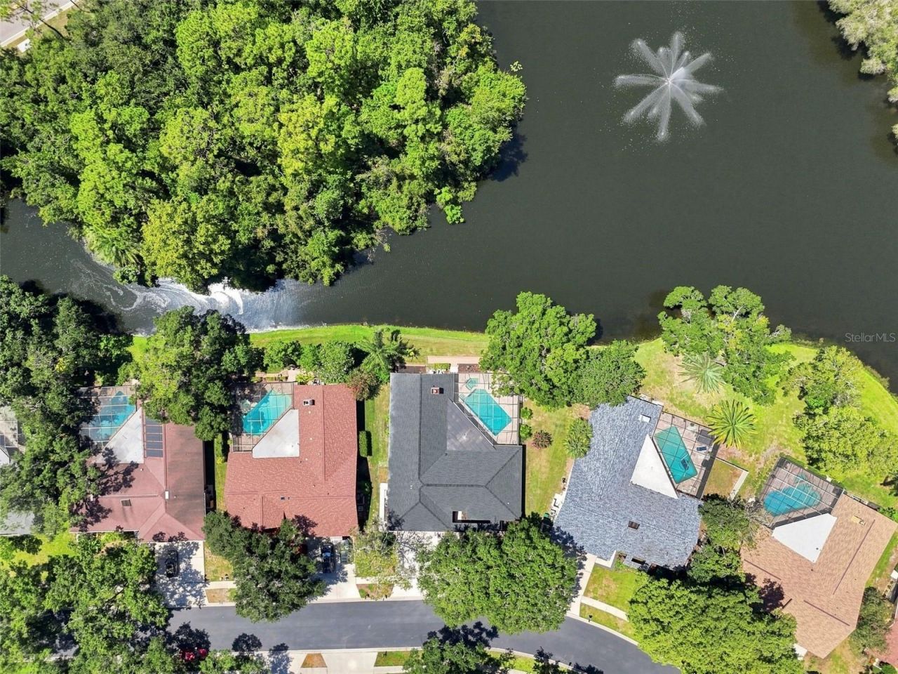 3126 Edgemoor Drive, Palm Harbor, FL 34685 Photo