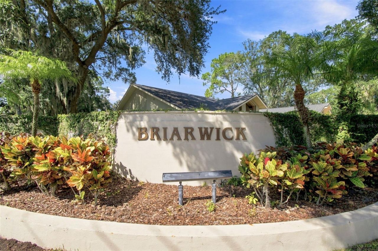 3126 Edgemoor Drive, Palm Harbor, FL 34685 Photo