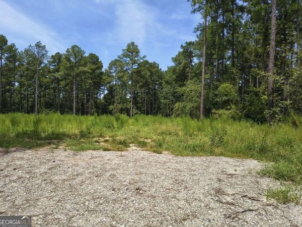 0 Mosley Bridge Road, Claxton, GA 30417