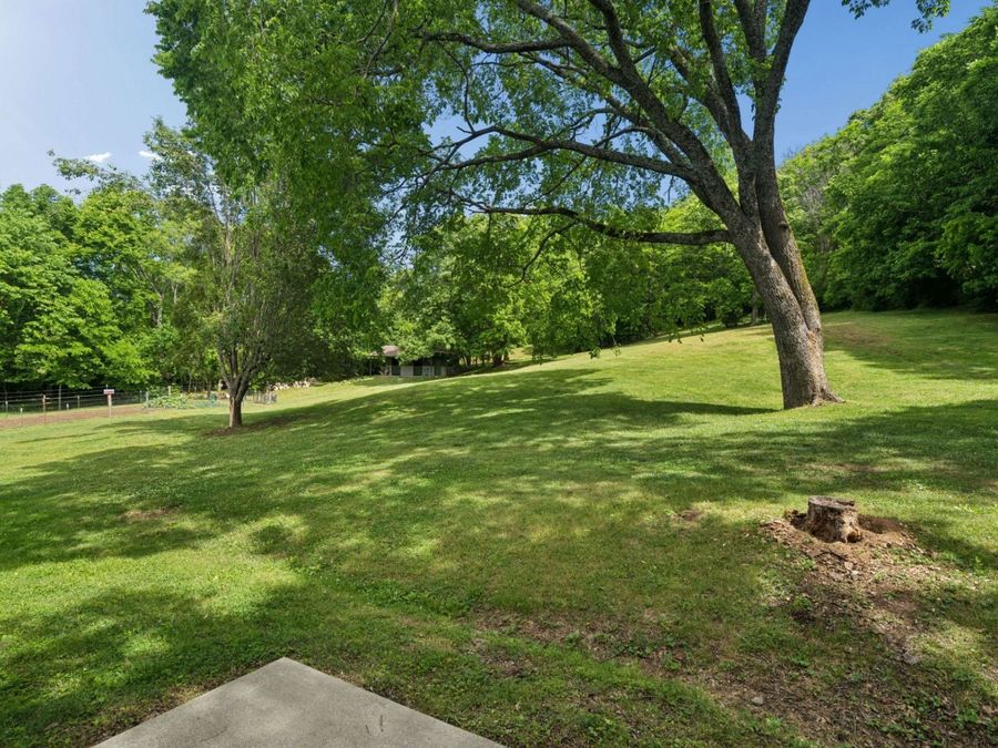 Property Image 50