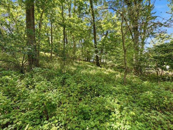 Luann, Pinckney, MI 48169