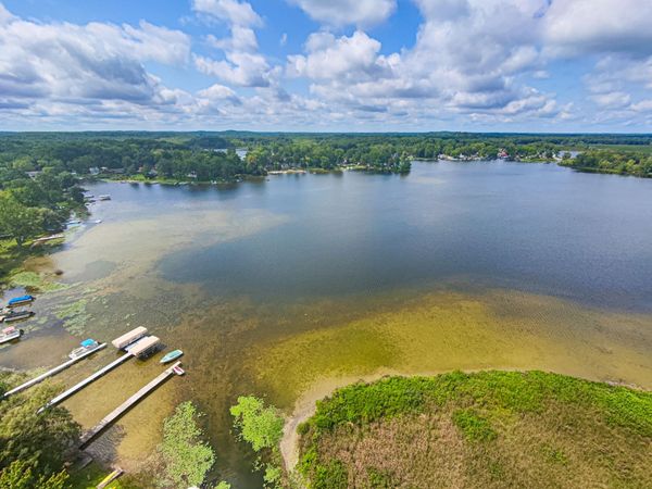 Luann, Pinckney, MI 48169