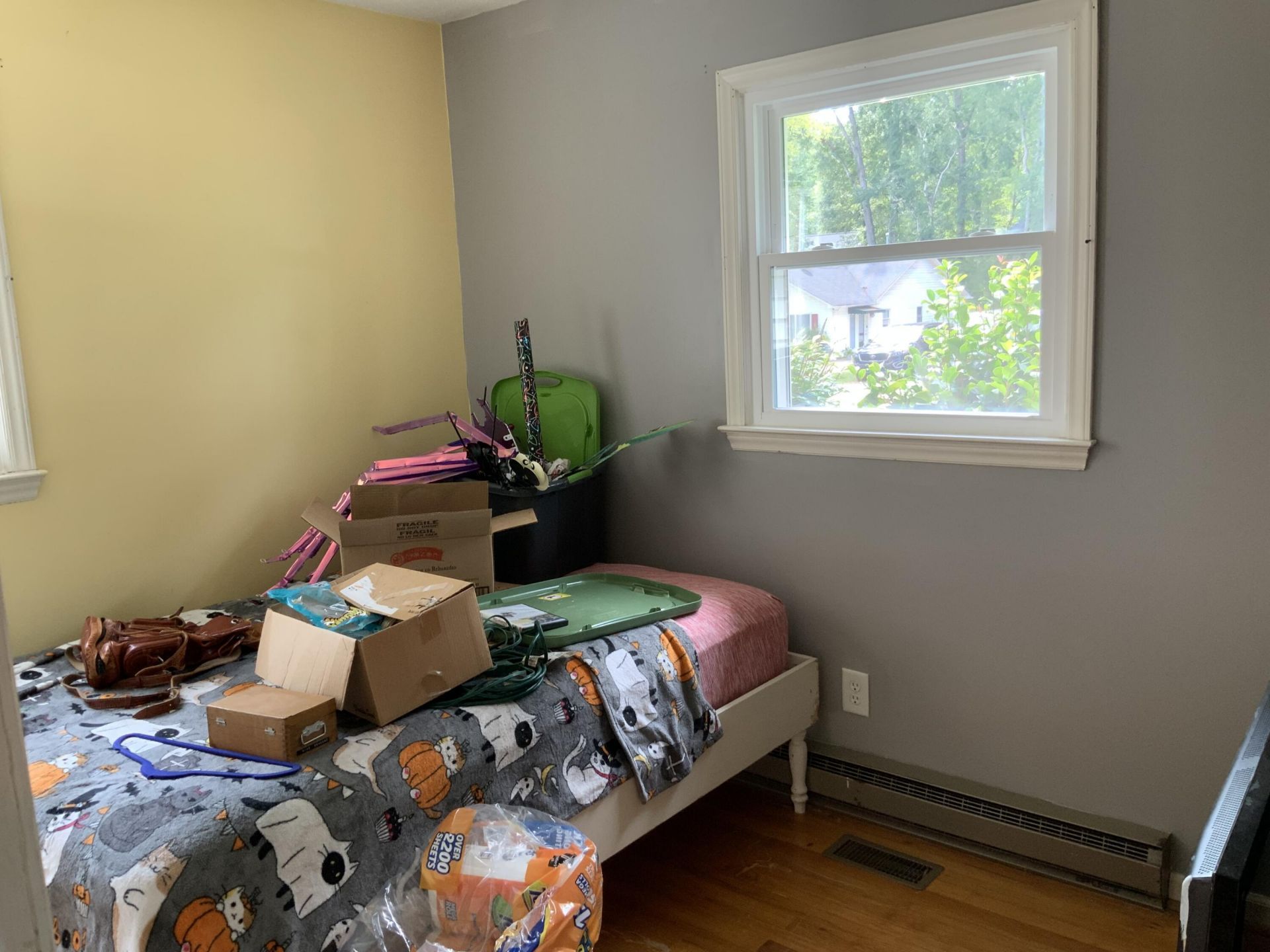 18 Cartwright Street Photo 18