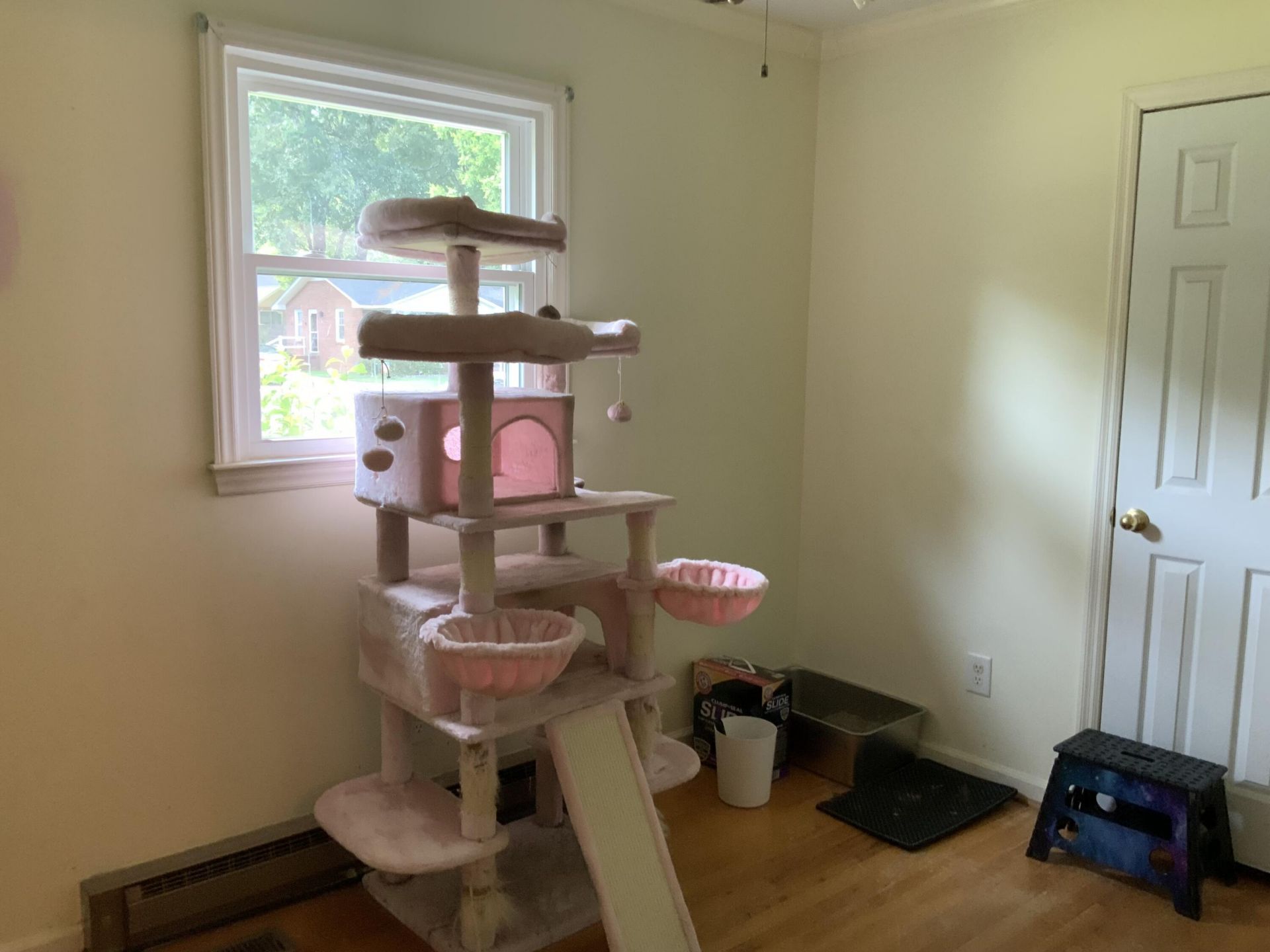 18 Cartwright Street Photo 20