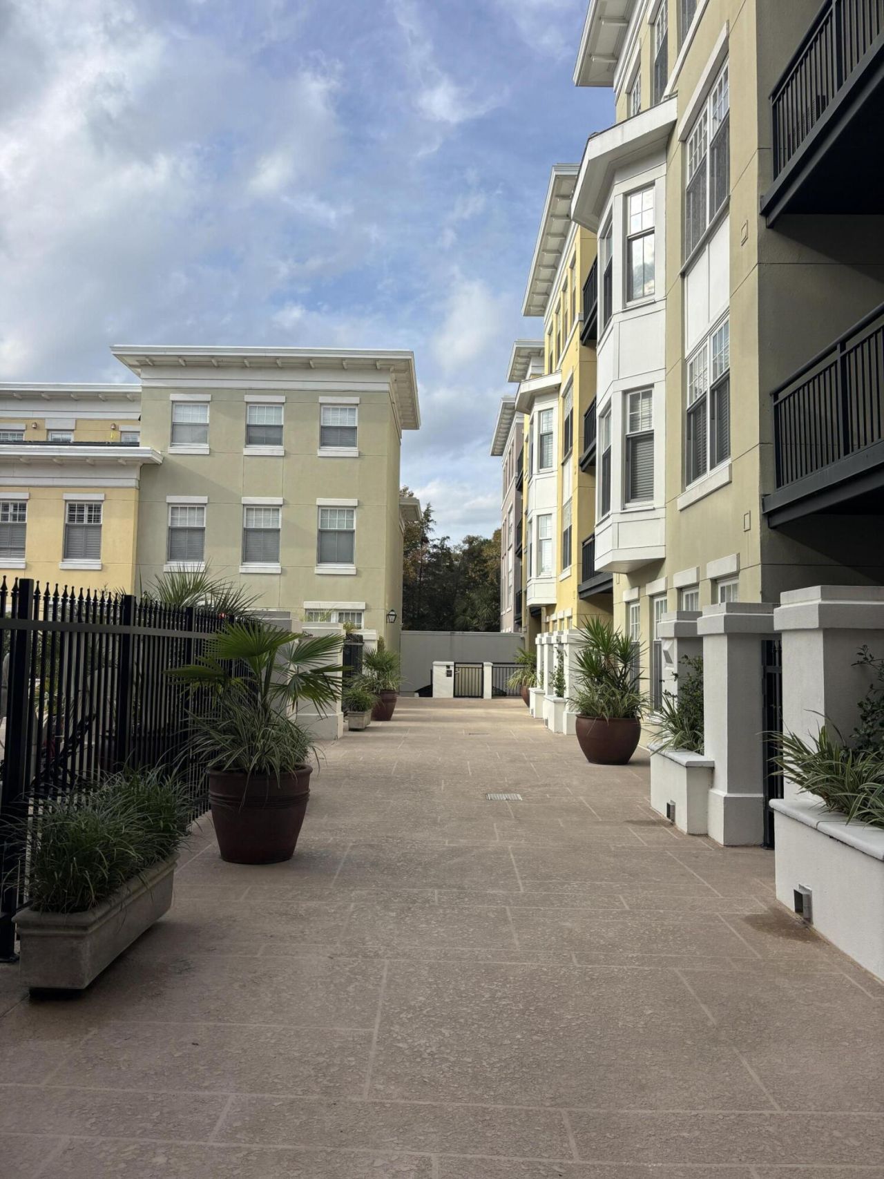 498 Albemarle Road Photo 6