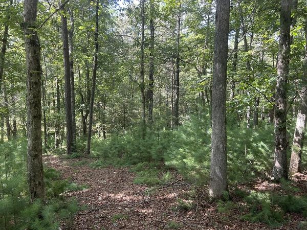 Lt 62 Harmony Way, Morganton, GA 30560