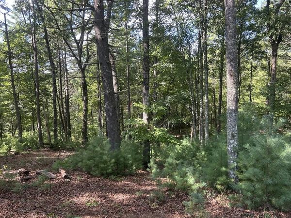 Lt 64 Harmony Way, Morganton, GA 30560