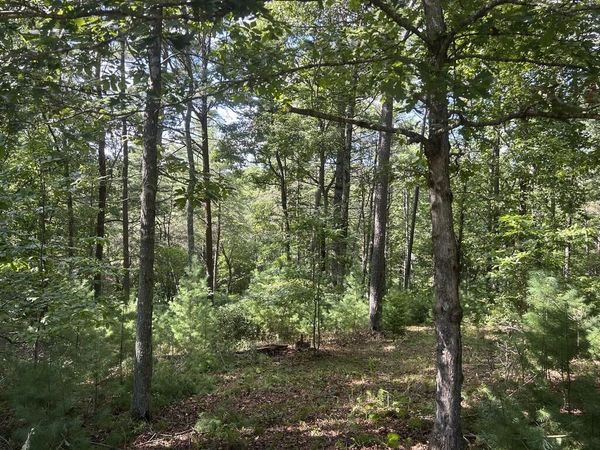 Lt 63 Harmony Way, Morganton, GA 30560
