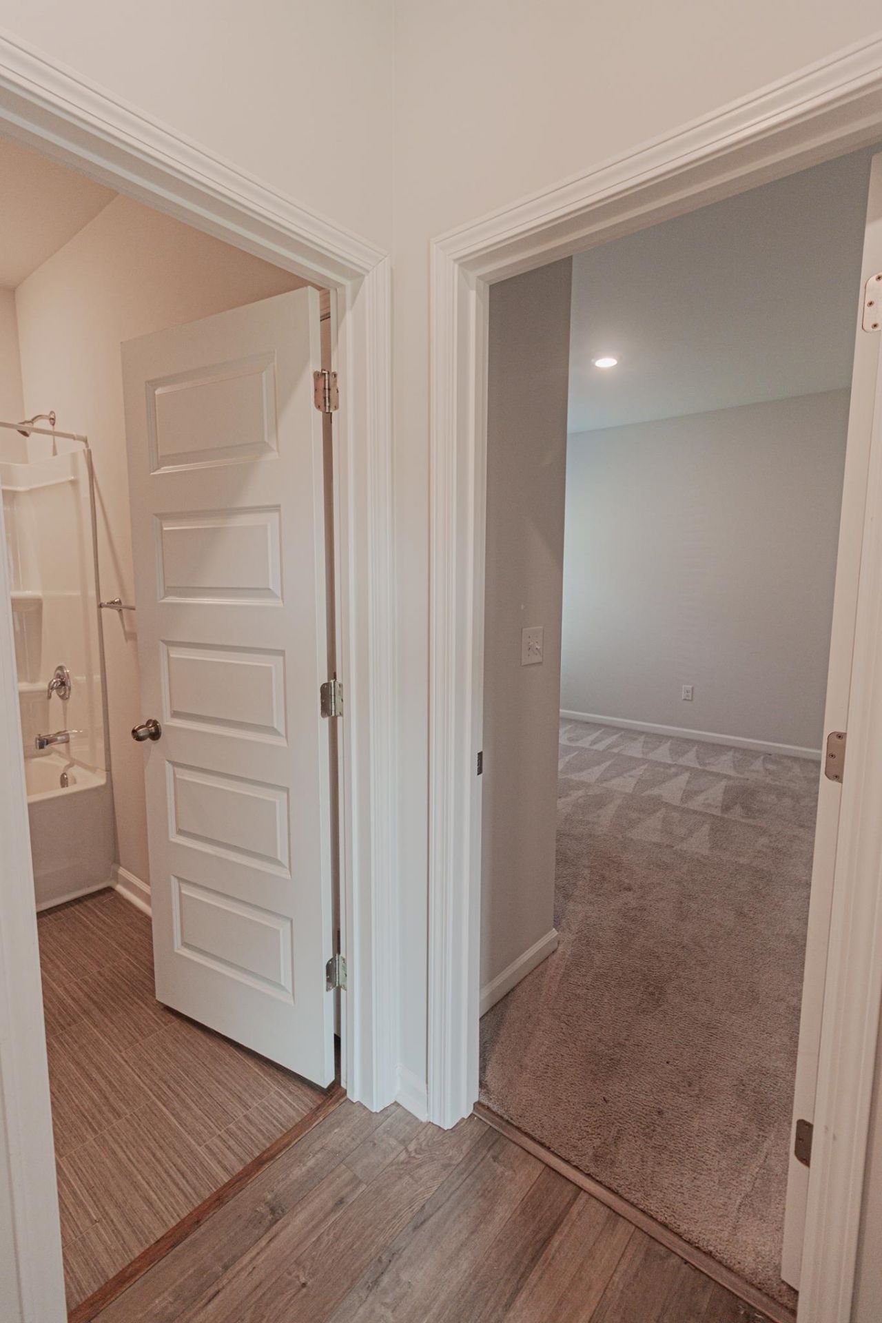 780 Dusty Pine Way Photo 23