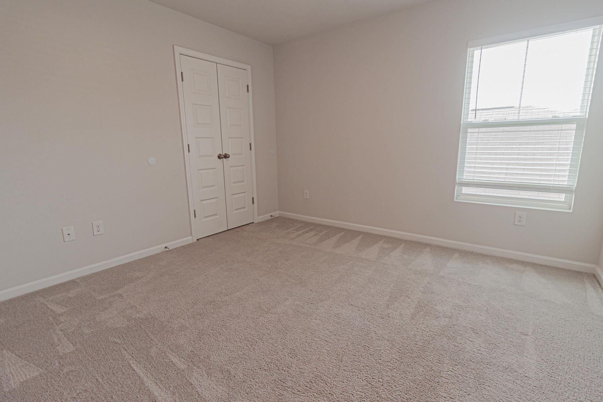 780 Dusty Pine Way Photo 38