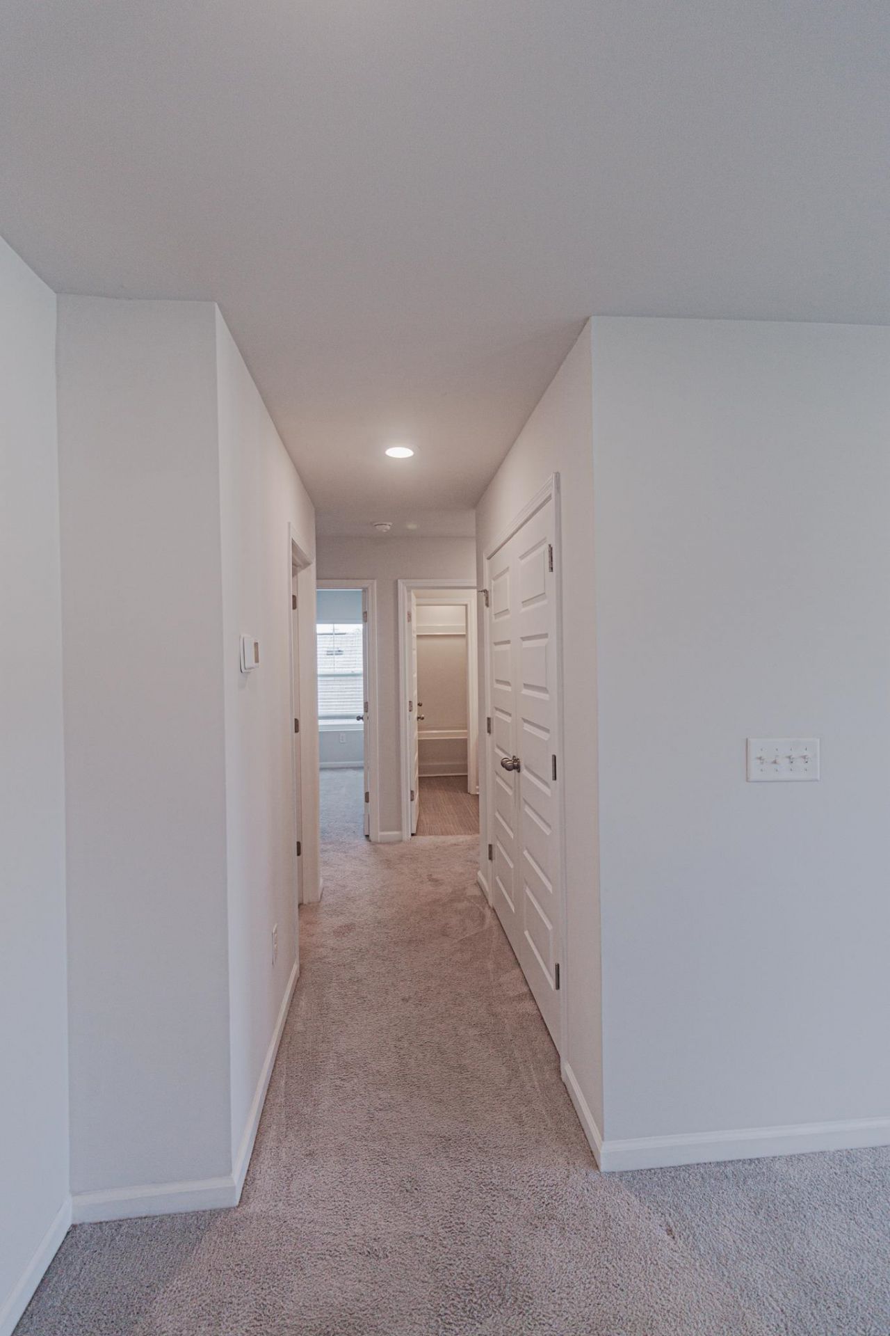780 Dusty Pine Way Photo 39