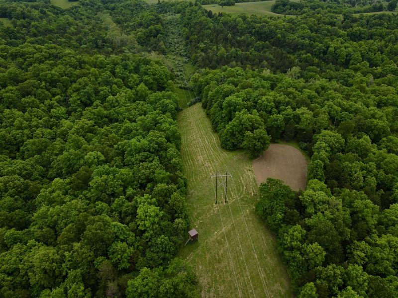 8275 KY-10, Falmouth, KY 41040 Photo 34