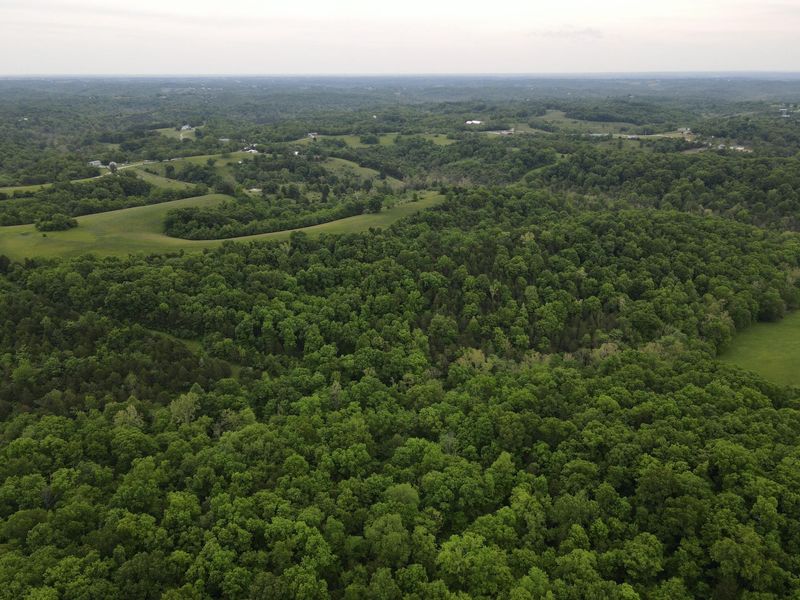 8275 KY-10, Falmouth, KY 41040 Photo 35