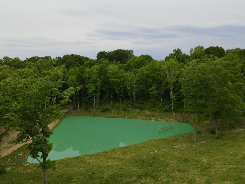 8275 KY-10, Falmouth, KY 41040 Photo 36