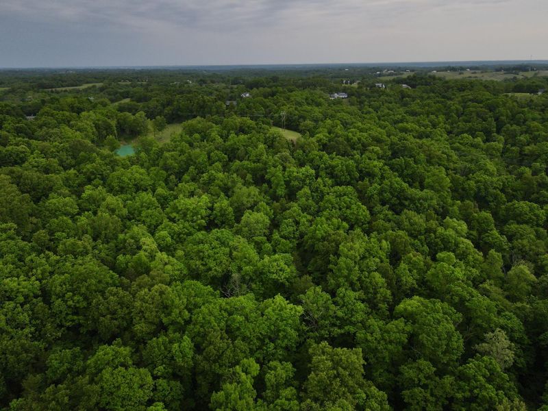 8275 KY-10, Falmouth, KY 41040 Photo 44