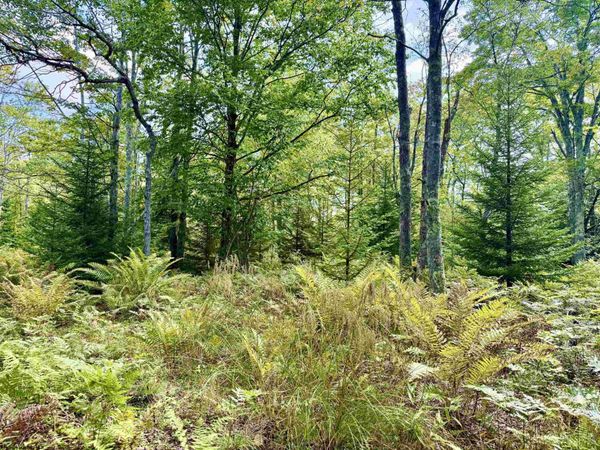Lot 9 Chickadee Drive, Davis, WV 26260