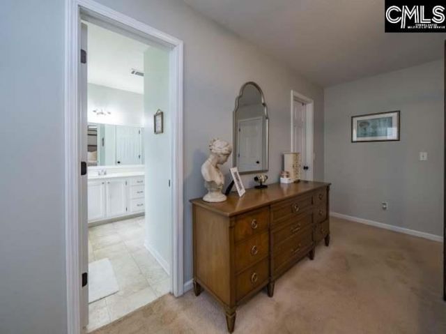 306 Coventry Lake Drive Photo 19