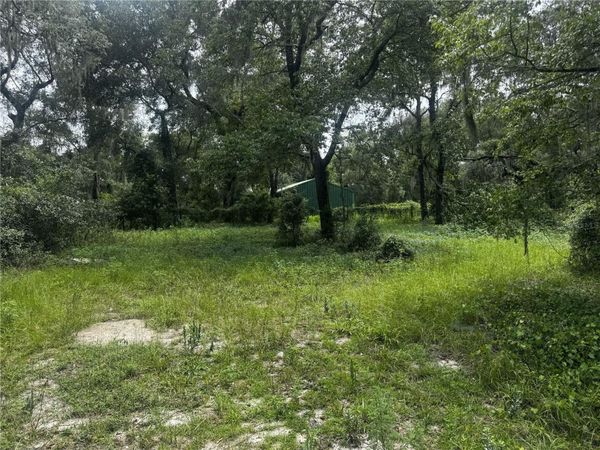 20716 SE 156TH PLACE , UMATILLA, FL 32784