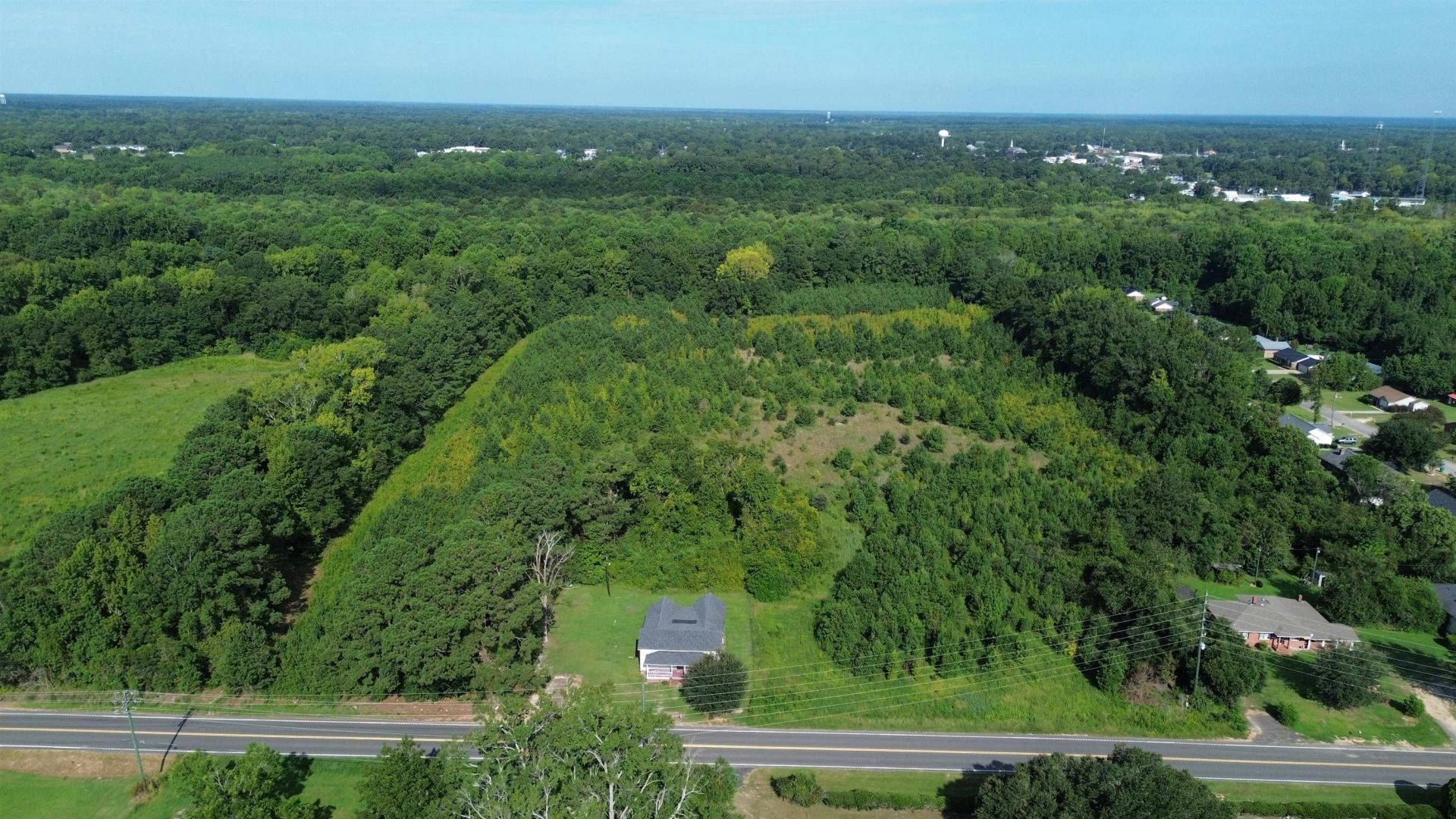 1292 Bloomville Rd.  Photo 5