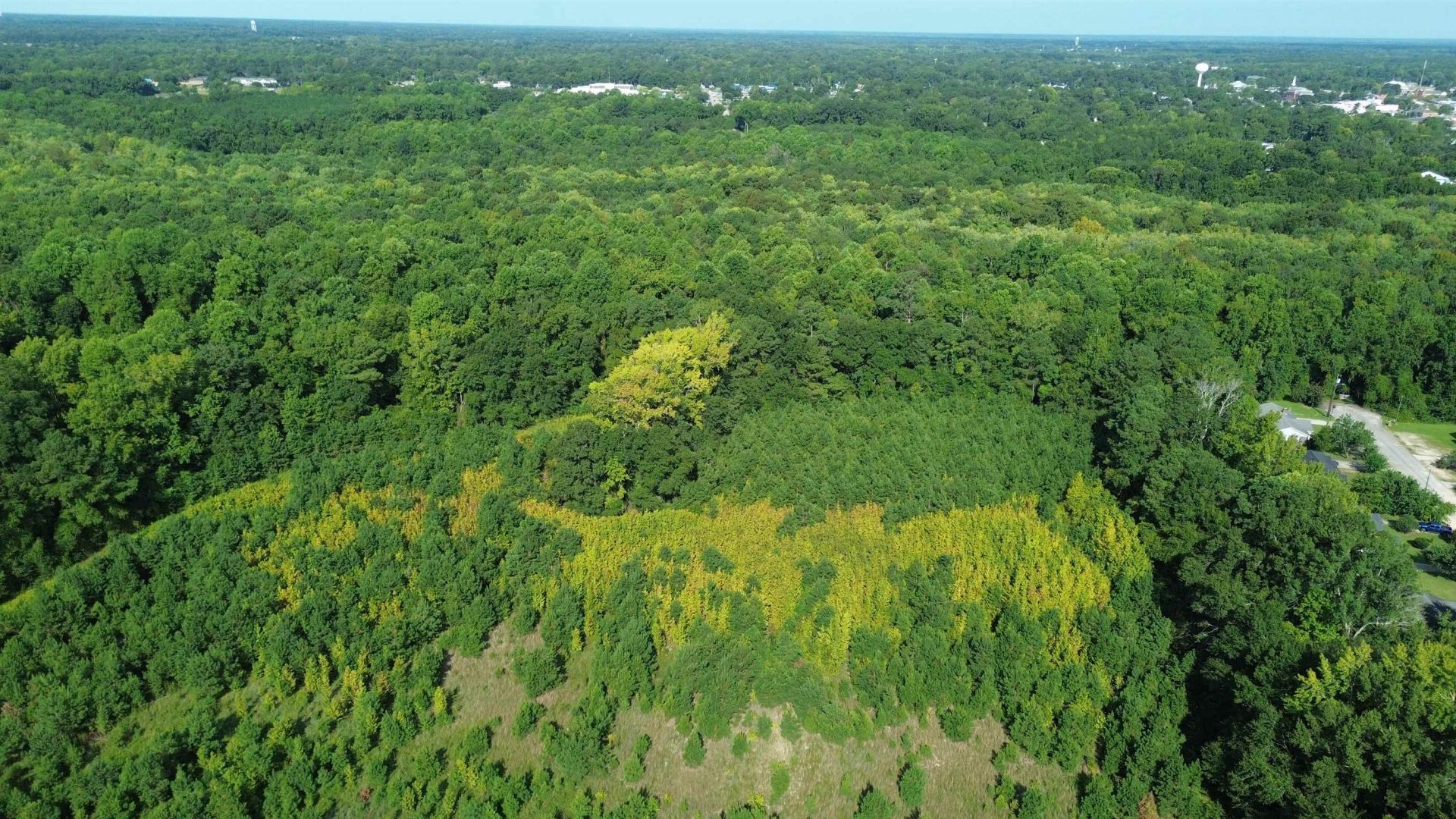 1292 Bloomville Rd.  Photo 6
