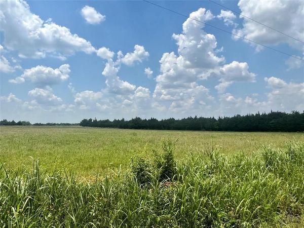 3442 COUNTY ROAD 15100, Blossom, TX 75416