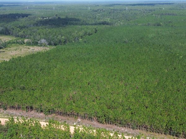 TRACT 2 Penny Morris Road, Baxley, GA 31513