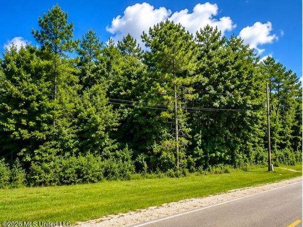 000 W OAK Street , Amite, LA 70422