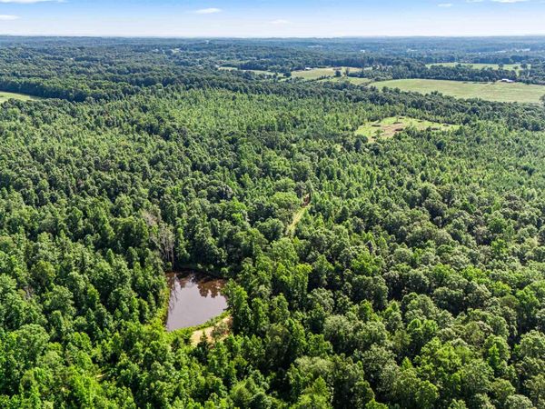284 acres Eva Road, Vinemont, AL 35179
