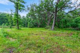 7855 Mary Seabrook Road photo 4
