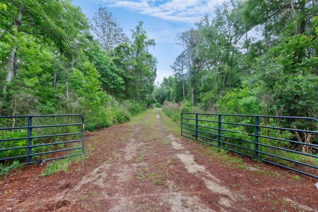 7855 Mary Seabrook Road Photo 5
