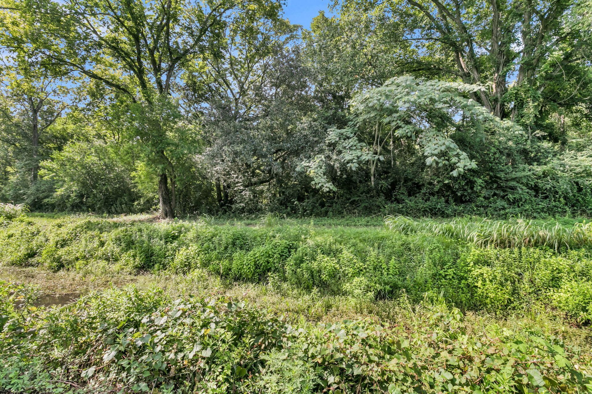 1311 Driftwood Drive Photo 35