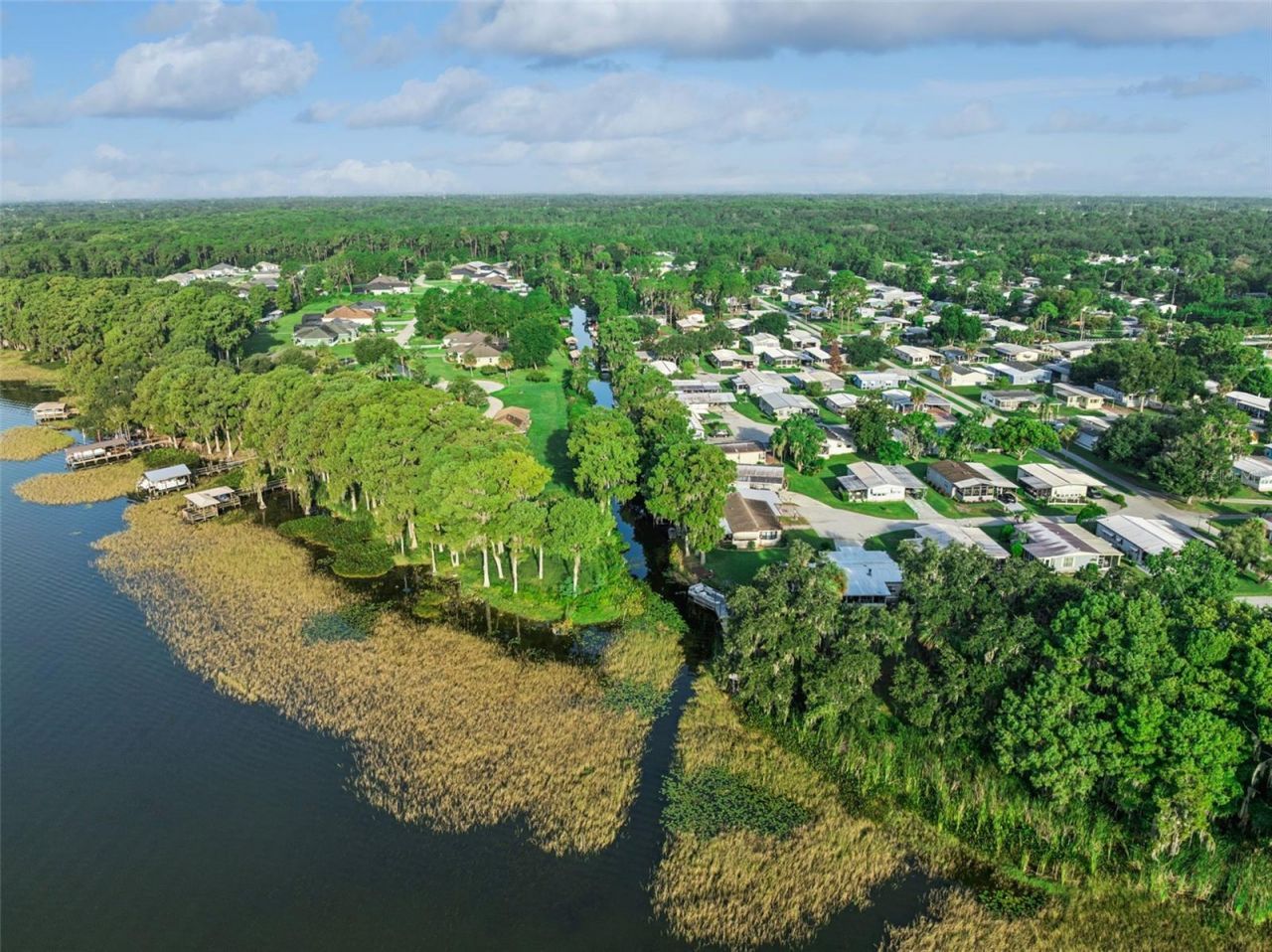 12045 Eagle Point Court , Leesburg, FL 34788 Photo
